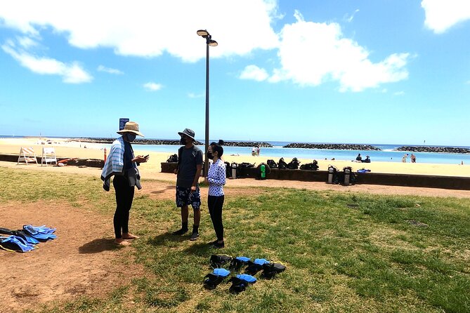 Guided Snorkel Tour for Beginners in Honolulu - Your $59 beginner snorkeling plan in Honolulu (and what makes it worth it)