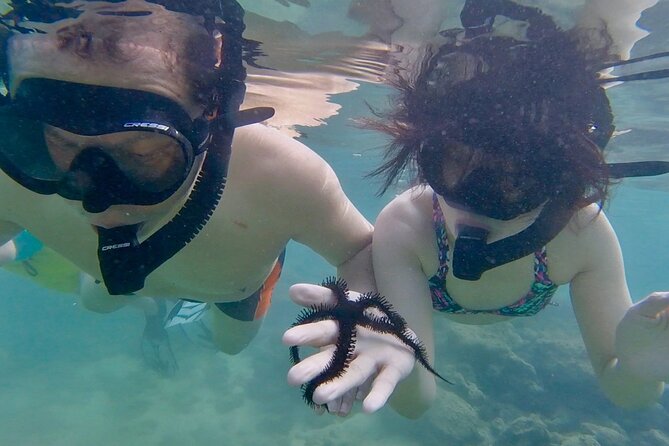 Guided Snorkel Tour for Beginners in Honolulu - Reef time: what you’ll see, and why the setting helps first-timers