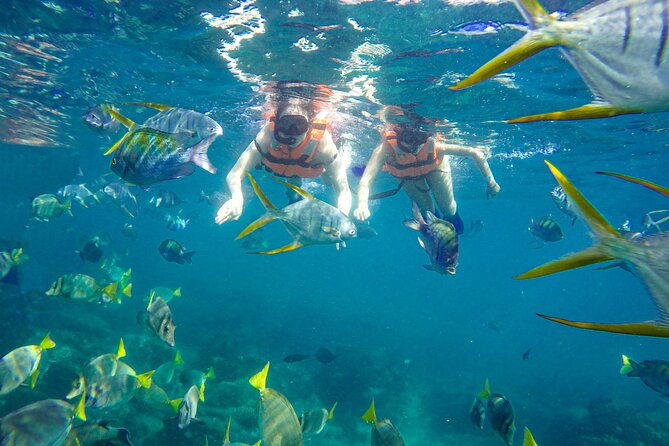 Half Day Cabo Snorkel Adventure with Lunch and Open Bar - Lunch and the open bar: when the schedule makes it work