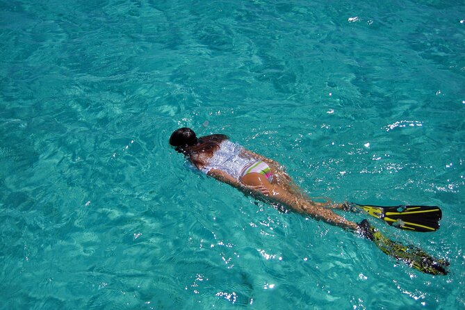 Half-Day Florida Keys Catamaran Snorkel Adventure - Stop 2: John Pennekamp Coral Reef State Park and Molasses Reef
