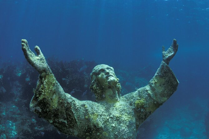 Half-Day Florida Keys Catamaran Snorkel Adventure - Snorkeling Equipment: Included, But Bring Your Own If You’re Picky
