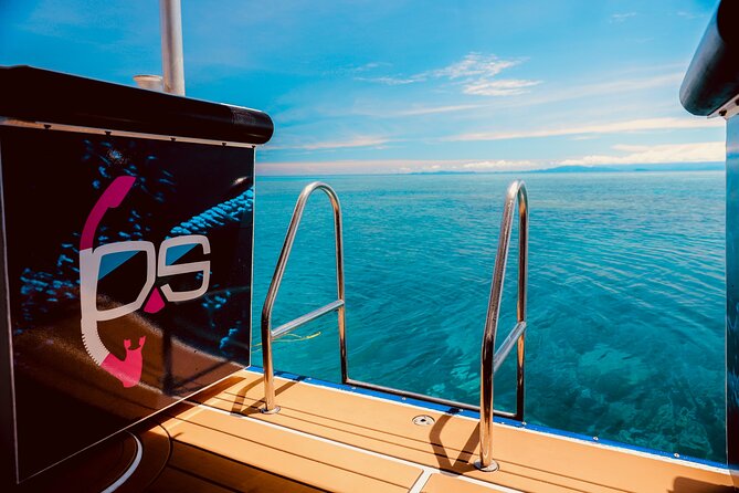 Half Day Great Barrier Reef Snorkeling Tour - Quick reasons this half-day reef tour works