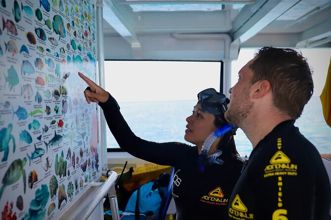 Half Day Great Barrier Reef Snorkeling Tour - Snacks, comfort, and little things that prevent a miserable day