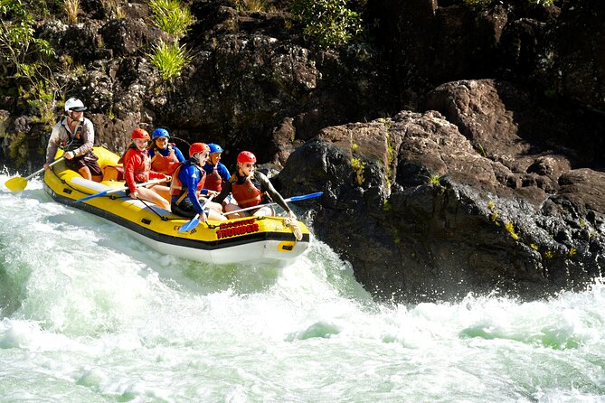 Half Day Great Barrier Reef Snorkeling Tour - Who this tour fits best (and who should skip)