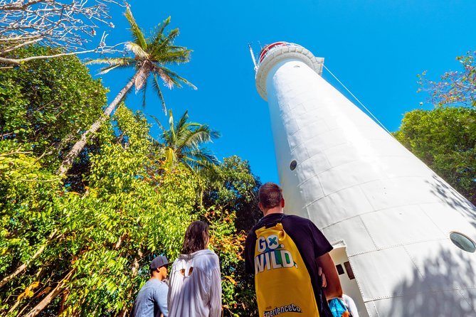 Half Day Low Isles Snorkelling Tour from Port Douglas - Key highlights you’ll care about