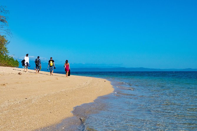 Half Day Low Isles Snorkelling Tour from Port Douglas - Low Isles in a Half Day: Why This Snorkel Trip Works