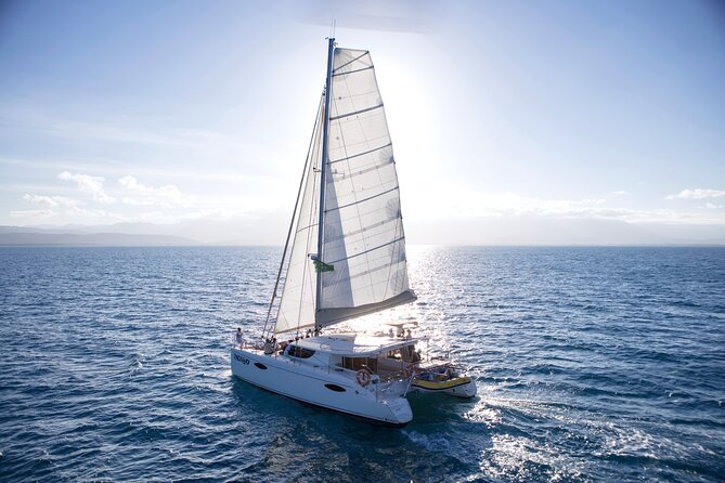 Half Day Low Isles Snorkelling Tour from Port Douglas - Glass-Bottom Boat and Island Walks: Dry Options and Real Breaks