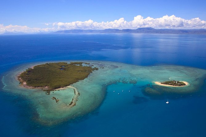 Half Day Low Isles Snorkelling Tour from Port Douglas - Value at $175.72: What You’re Paying For (and What You’re Not)