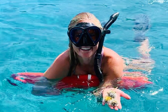 Half Day Luxury Catamaran Turtle Snorkel And Beach - Key Reasons You’ll Feel This Tour Was Worth It