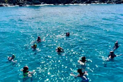 Half Day Luxury Catamaran Turtle Snorkel And Beach - Turtle Cove at Buck Island National Wildlife Refuge: The Snorkel Moment
