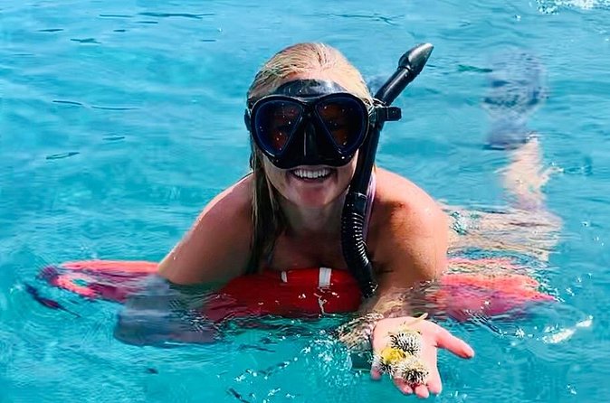 Half Day Luxury Catamaran Turtle Snorkel And Beach - The $159 Price: Where the Value Really Comes From