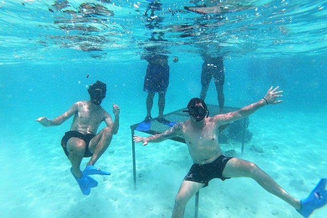 Half-Day Muri Lagoon BBQ Lunch Cruise including Snorkeling - Key Things I’d Focus On