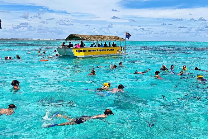 Half-Day Muri Lagoon BBQ Lunch Cruise including Snorkeling - Snorkeling with Guides: Gear, Marine Reserve Rules, and What to Watch For