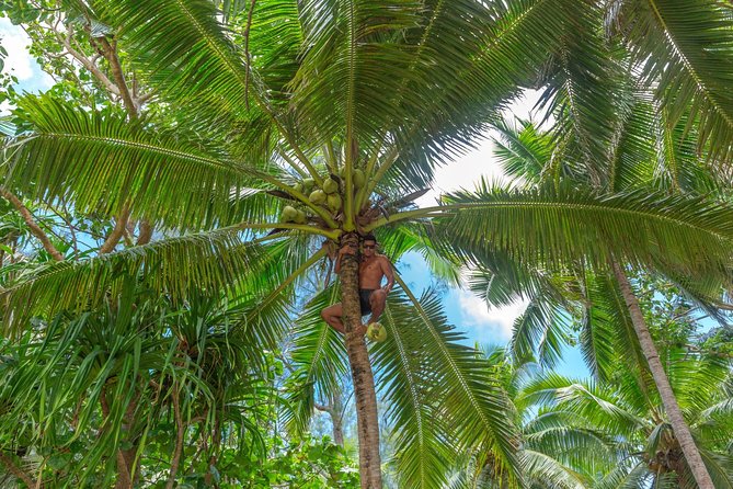 Half-Day Muri Lagoon BBQ Lunch Cruise including Snorkeling - Motu Koromiri Lunch: Fresh Fish BBQ, Pareu Tying, and Coconut Magic