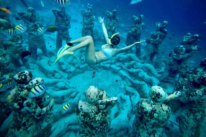 Half-Day Private Guided Snorkeling Turtles Underwater Statues - Equipment and Guide Style: What Included Gear Really Means