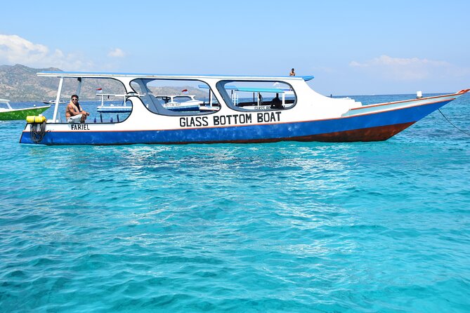 Half-Day Private Guided Snorkeling Turtles Underwater Statues - Gili Meno Statue Areas and Coral Reefs: Where the Photos Get Real