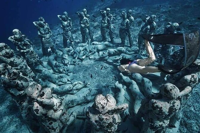 Half-Day Private Guided Snorkeling Turtles Underwater Statues - Fish Garden and Turtle Point: How to Spot Turtles Without Stress