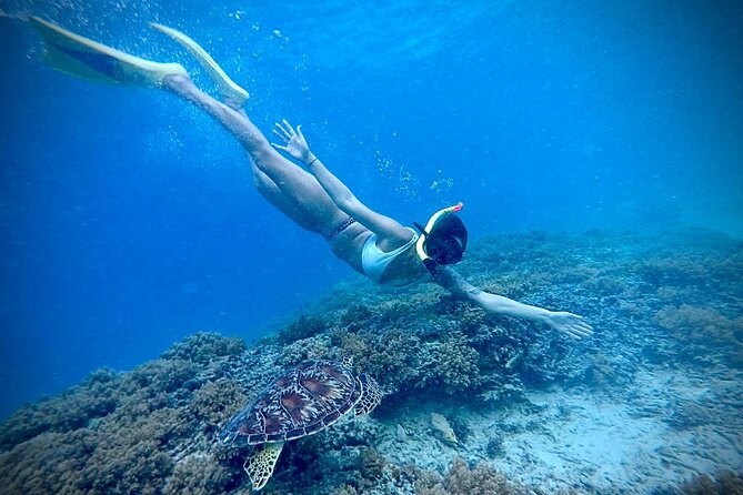 Half-Day Private Guided Snorkeling Turtles Underwater Statues - Lunch on Gili Meno and Island Time: The Break That Makes It Worth It