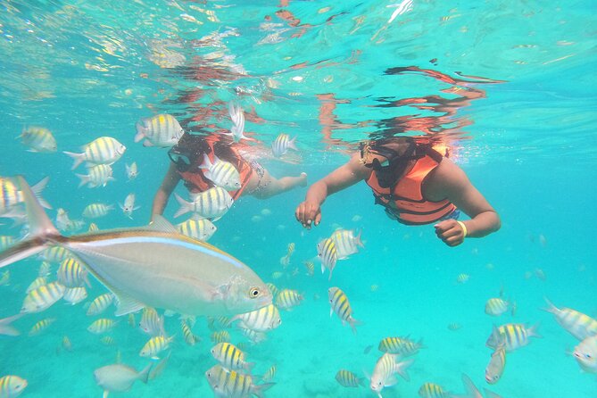 Half-Day Private Party Boat and Snorkeling in Punta Cana - Stop Two: The Natural Pool Sandbar Walk-In Experience