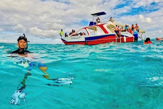 Half-Day Private Party Boat and Snorkeling in Punta Cana - Getting Aboard: Pickup, Duration, and What “Private” Means Here