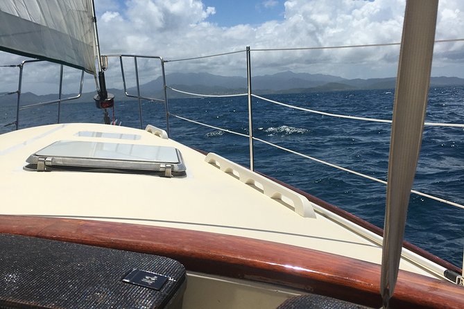 Half Day Sail and Snorkel with the Turtles - Key highlights to know before you go