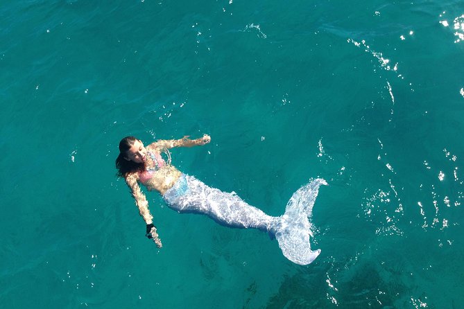 Half Day Sail and Snorkel with the Turtles - Value check: is $140 for turtle snorkeling and sailing a good deal?