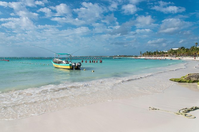 Half-Day Sea Turtle and Cenote Snorkeling Tour from Cancun & Riviera Maya - Price and Fees: What $99 Really Means