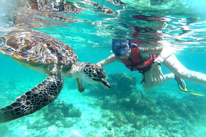 Half-Day Sea Turtle and Cenote Snorkeling Tour from Cancun & Riviera Maya - Stop 2: Parque de Cenotes Yax-Muul Walk, Stalactites, and a Freshwater Swim