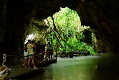 Half-Day Sea Turtle and Cenote Snorkeling Tour from Cancun & Riviera Maya - Pickup Times and the Early Start That Changes Everything