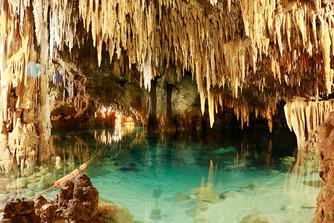 Half-Day Sea Turtle and Cenote Snorkeling Tour from Cancun & Riviera Maya - Gear, Photo Rules, and Small Details That Save You Money