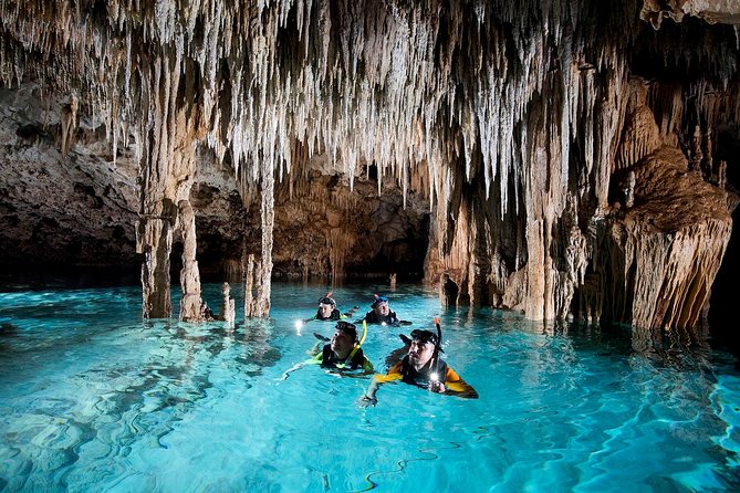 Half-Day Sea Turtle and Cenote Snorkeling Tour from Cancun & Riviera Maya - Who Should Book This Tour (and Who Might Prefer Another Option)