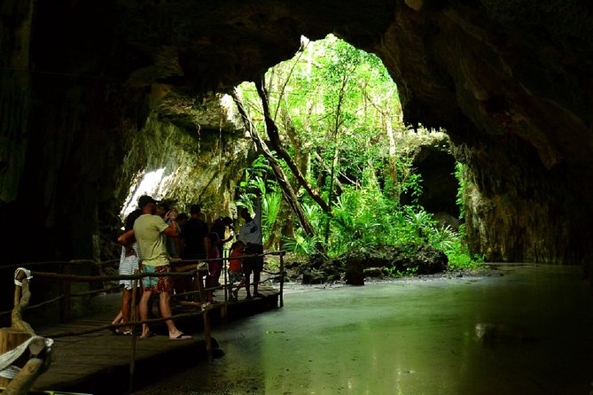 Half-Day Sea Turtle and Cenote Snorkeling Tour from Cancun & Riviera Maya - Pickup Times and the Early Start That Changes Everything