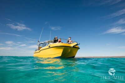 Half Day Snorkel 2.5hr Turtle Tour on the Ningaloo Reef, Exmouth - Getting There Comfortably: Pickup, AC Van, and a Small-Group Pace