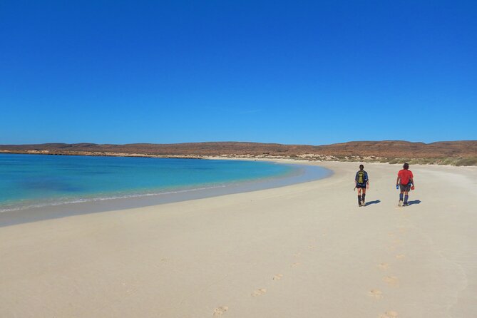 Half Day Snorkel 2.5hr Turtle Tour on the Ningaloo Reef, Exmouth - In the Water: How the Crew Helps You See More