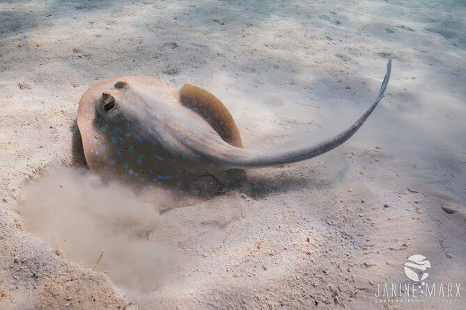 Half Day Snorkel 2.5hr Turtle Tour on the Ningaloo Reef, Exmouth - What to Bring: Wet Suit, Camera, and Comfort Basics