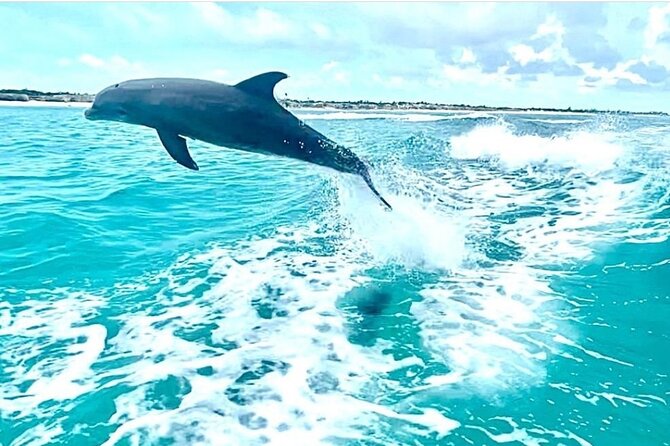 Half Day Snorkel from Providenciales with Visit to Half Moon Bay - Starting in Grace Bay Means Less Waiting, More Water