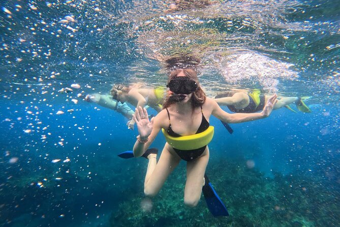Half Day Snorkel from Providenciales with Visit to Half Moon Bay - The Boat Extras: Slide Time and the Trade-Wind Mood
