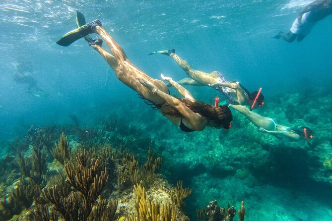 Half Day Snorkel from Providenciales with Visit to Half Moon Bay - Pricing and Value: When $140 Feels Like the Right Size