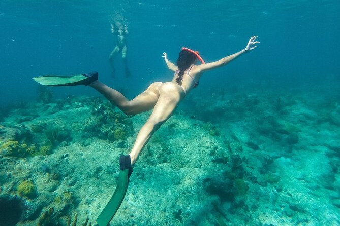 Half Day Snorkel from Providenciales with Visit to Half Moon Bay - Breakfast, Lunch, and Drinks That Actually Fill You Up