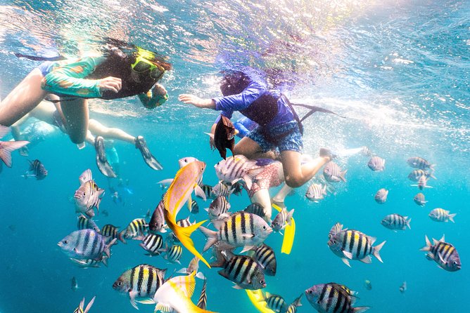 Half-Day Snorkel Sail Tour with Caribbean Lunch - Lunch buffet, snacks, and the open bar timing