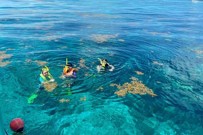 Half Day Snorkel Trip on Reefs in the Florida Keys - From Key Largo to the Reef: Catamaran Comfort and Group Size