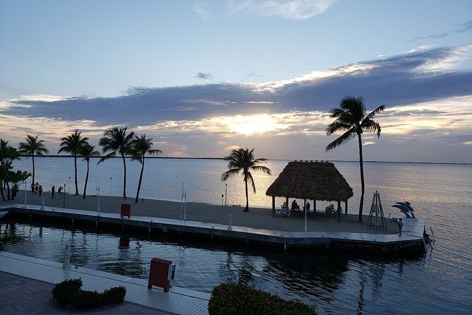 Half Day Snorkel Trip on Reefs in the Florida Keys - Wildlife Viewing Skills: How to See More With Less Effort