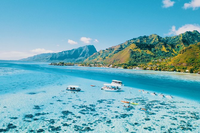 Half Day Snorkeling in Moorea - Moorea by Boat: Why Cook’s Bay and Opunohu Bay Are the Point