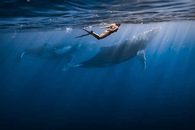 Half Day Snorkeling in Moorea - Weather and Cancellations: One Planning Move You’ll Thank Yourself For