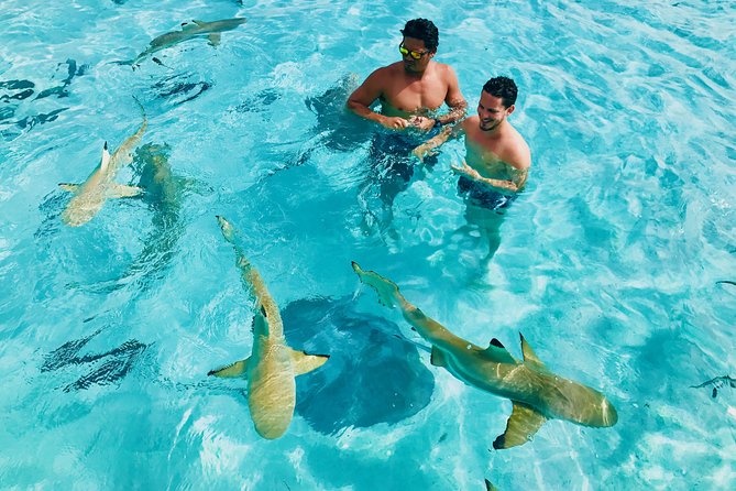 Half Day Snorkeling in Moorea - The Snorkeling Plan: Sandbar, Coral Areas, and Coral Gardens