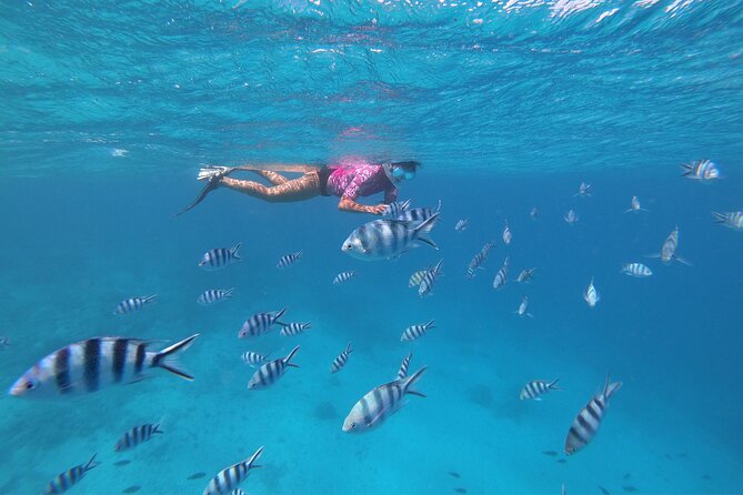 Half-Day Snorkeling Tour in Tahiti - Boat Size, Ladder Access, and Safety: The Part You Should Plan For