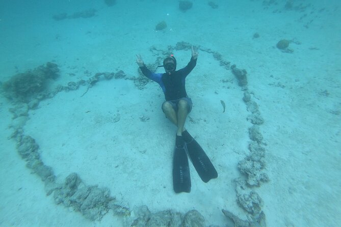 Half-Day Snorkeling Tour in Tahiti - Where It Shines: Who Should Book This Tour