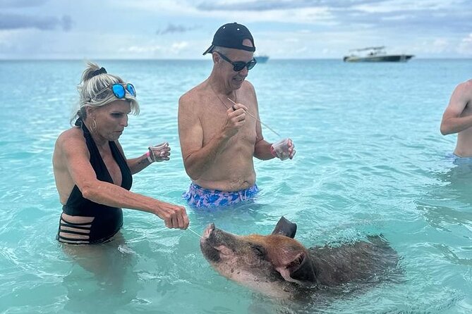 Half Day Swimming Pigs on Rose Island, Snorkeling and Lunch - Footprints Beach Bar Lunch: Where the Energy Comes Back