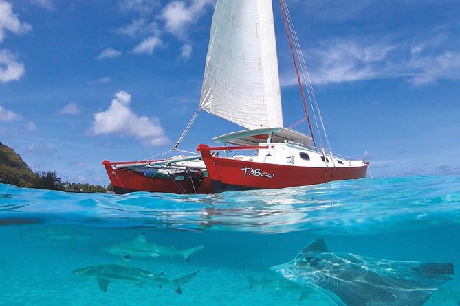 Half Day Tour : Moorea Snorkeling & Sailing on a Catamaran named Taboo - Key things I’d watch for on Taboo