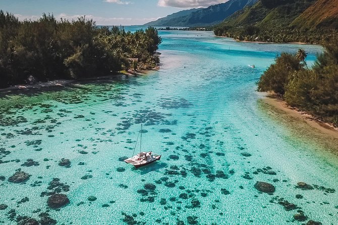 Half Day Tour : Moorea Snorkeling & Sailing on a Catamaran named Taboo - Taboo Catamaran: pickup, pacing, and why small matters in Moorea